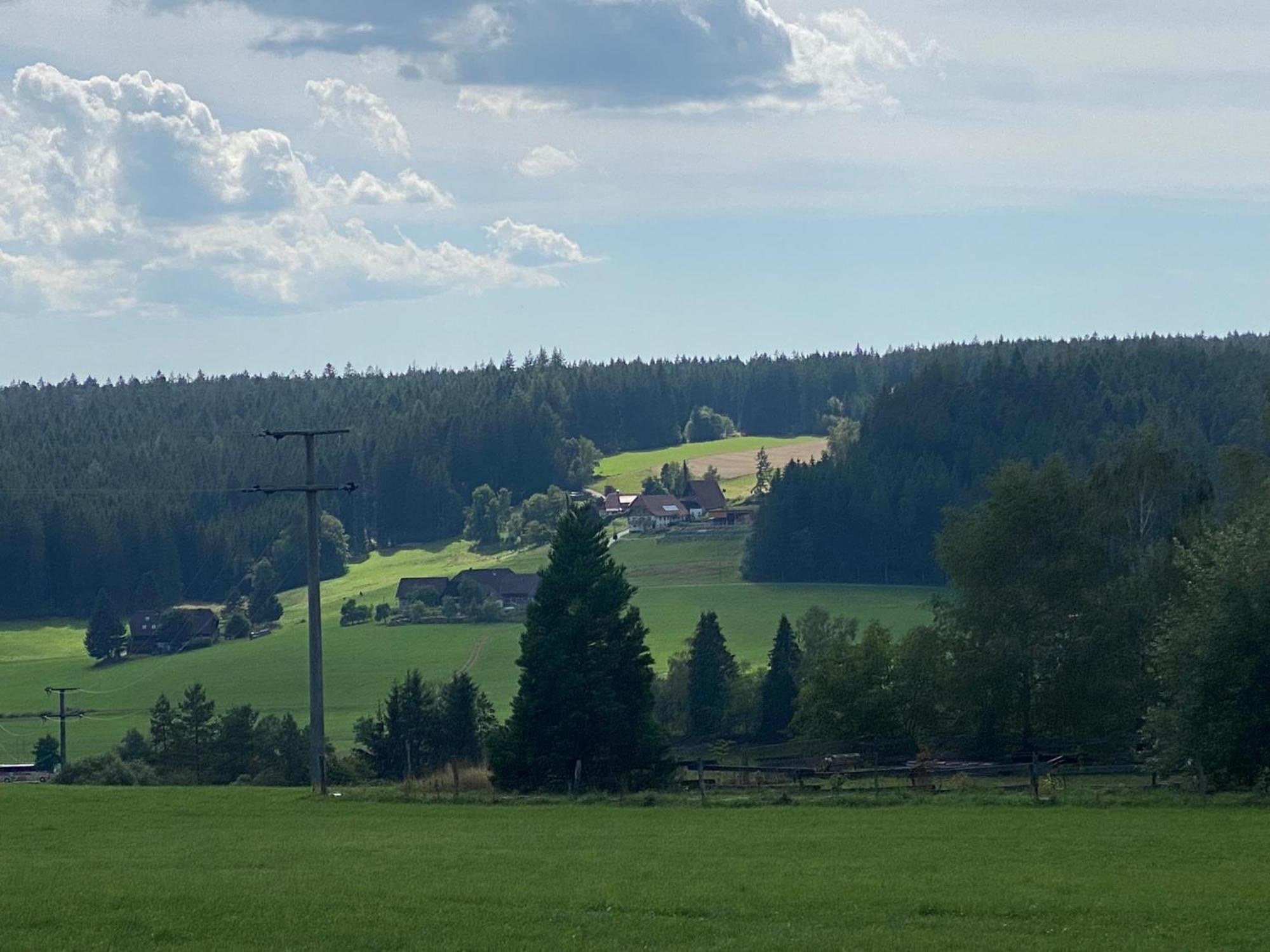 fewo-turmblick-rottweil Exterior foto